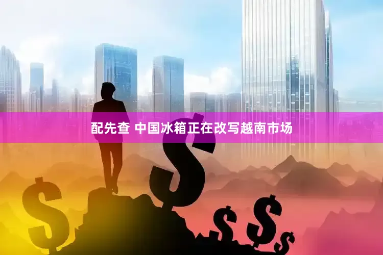 配先查 中国冰箱正在改写越南市场
