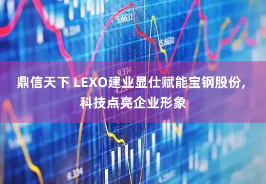 鼎信天下 LEXO建业显仕赋能宝钢股份, 科技点亮企业形象