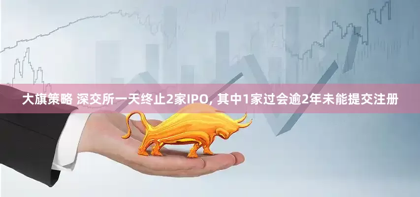 大旗策略 深交所一天终止2家IPO, 其中1家过会逾2年未能提交注册