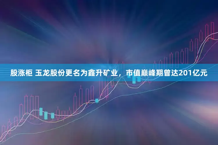 股涨柜 玉龙股份更名为鑫升矿业，市值巅峰期曾达201亿元
