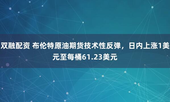 双融配资 布伦特原油期货技术性反弹，日内上涨1美元至每桶61.23美元