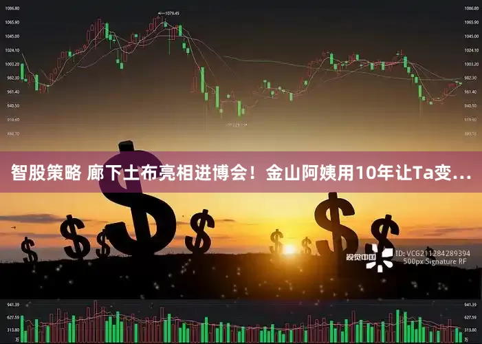 智股策略 廊下土布亮相进博会！金山阿姨用10年让Ta变…