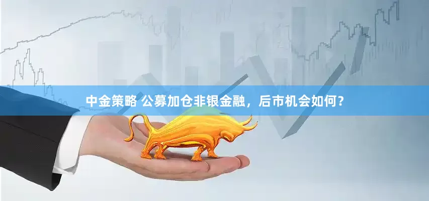 中金策略 公募加仓非银金融，后市机会如何？
