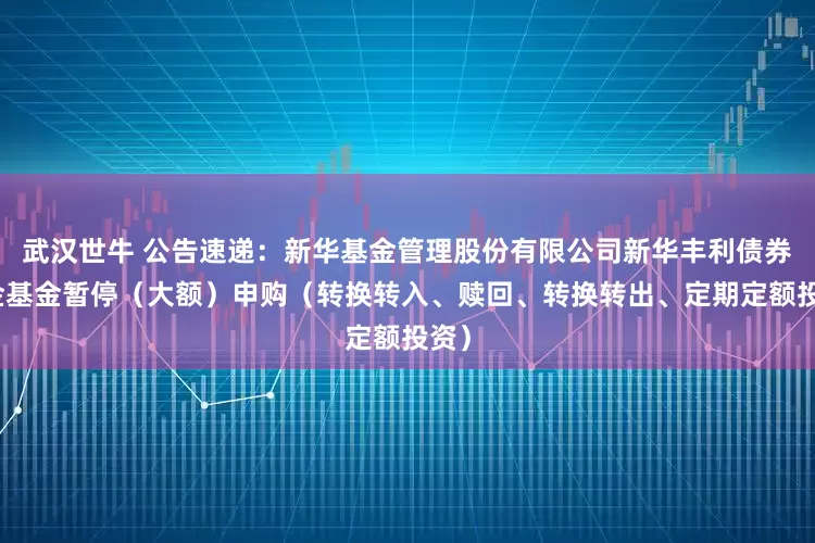 武汉世牛 公告速递：新华基金管理股份有限公司新华丰利债券基金基金暂停（大额）申购（转换转入、赎回、转换转出、定期定额投资）